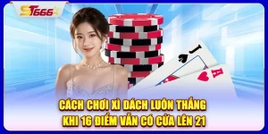 cách chơi xì dách luôn thắng