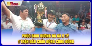 phúc bình dương đá gà 5 tỷ