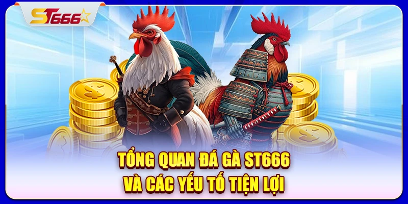 Tổng quan đá gà ST666 và các yếu tố tiện lợi
