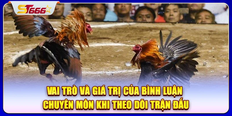 Vai trò và giá trị của bình luận chuyên môn khi theo dõi trận đấu